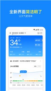 实况天气预报