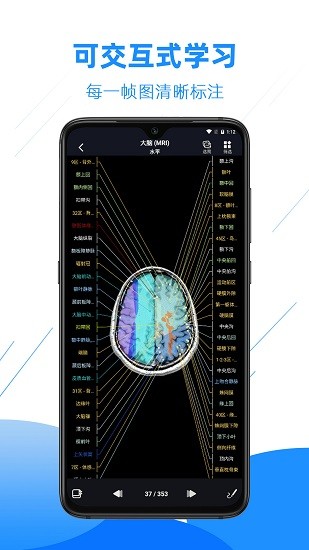 影像解剖图谱 