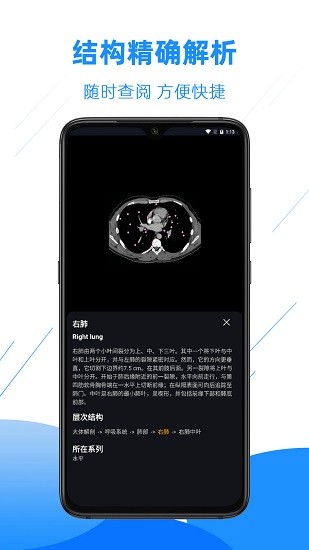 影像解剖图谱 