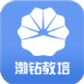 渤钻教培