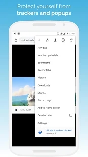 KiwiBrowser
