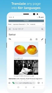KiwiBrowser