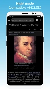 KiwiBrowser