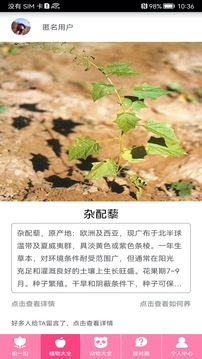 随手拍照识物